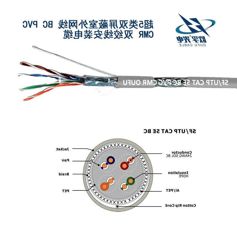 岳阳市SF/UTP超五类4对双屏蔽电缆(24AWG)